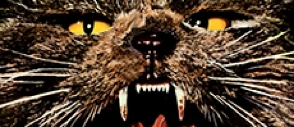 Deadtime Stories - Volume II?>
