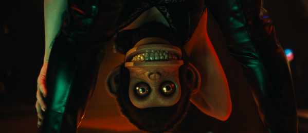 The Monkey?>